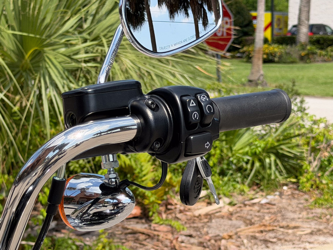 Softail® Standard