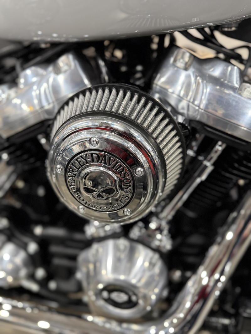 Softail® Standard