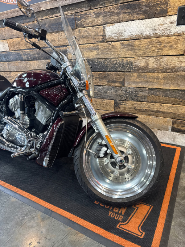 V-Rod® - Black Frame