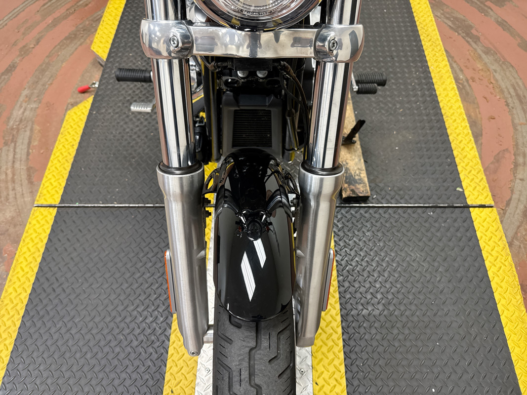 Softail® Standard