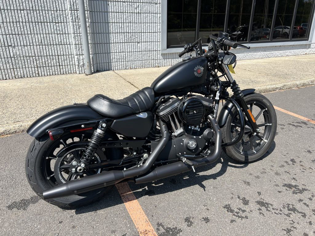 Iron 883®
