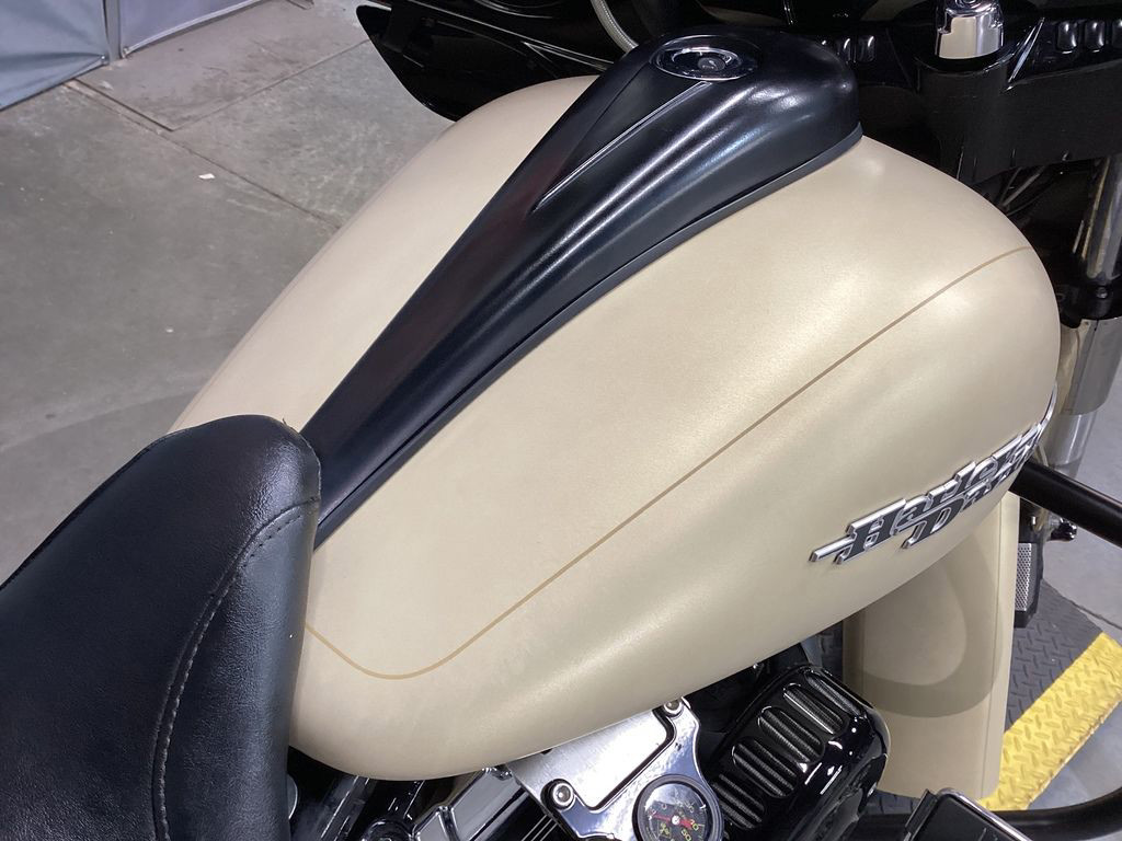 Street Glide® Special