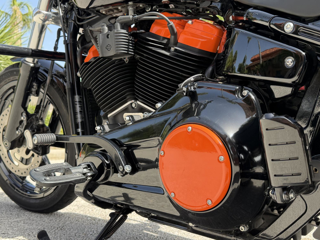 Softail® Standard