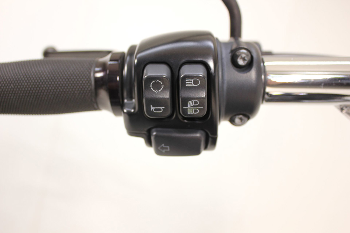 Sportster® Forty-Eight® Special