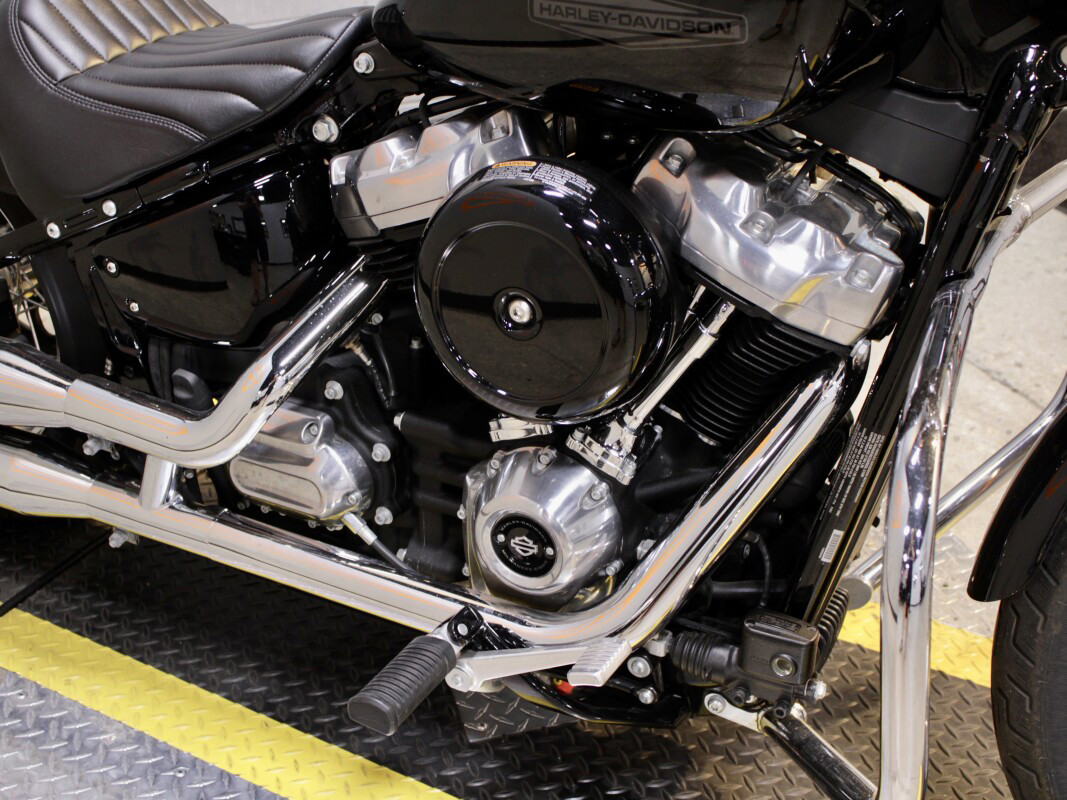 Softail® Standard