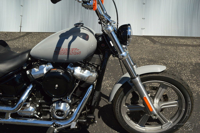 Softail® Standard
