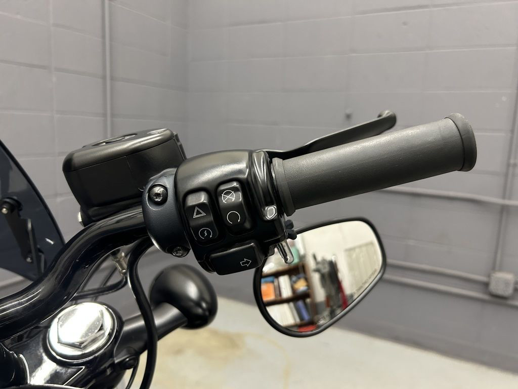 Sportster® Forty-Eight®