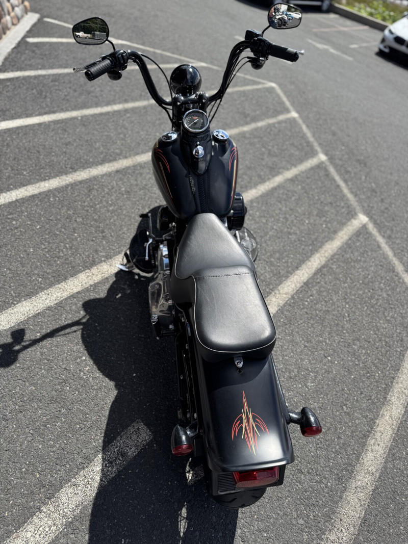 Softail® Cross Bones®