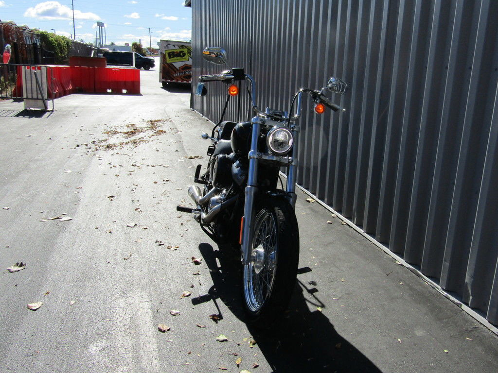 Softail® Standard