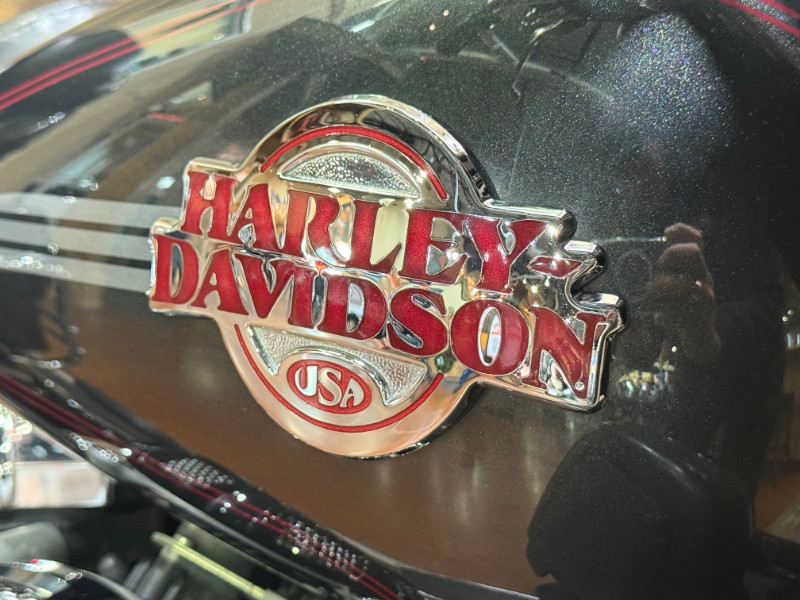 Ultra Classic® Electra Glide®