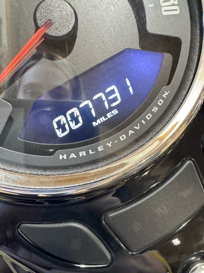 Softail® Heritage Classic 114