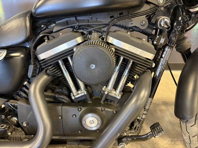 Sportster® Iron 883®