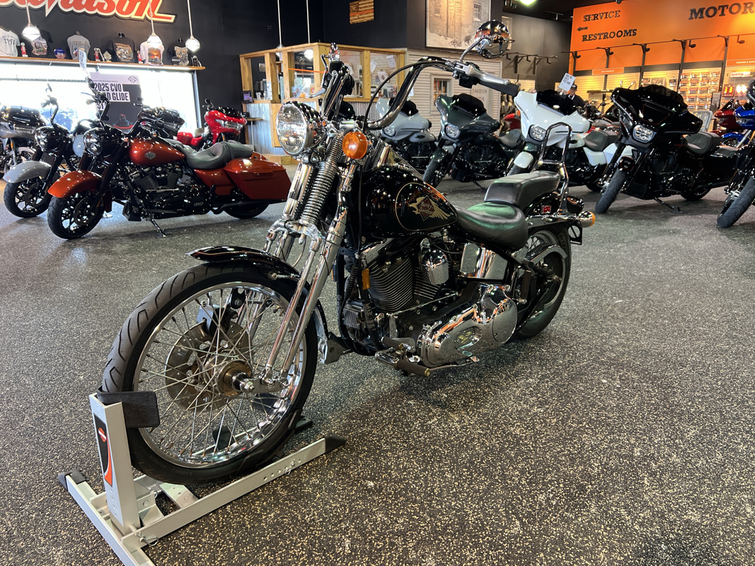 Springer® Softail®