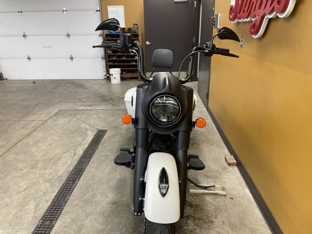 Springfield Dark Horse