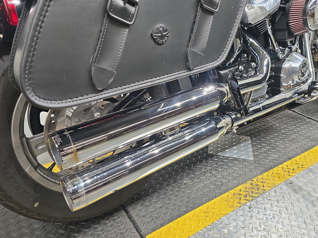 Softail® Standard