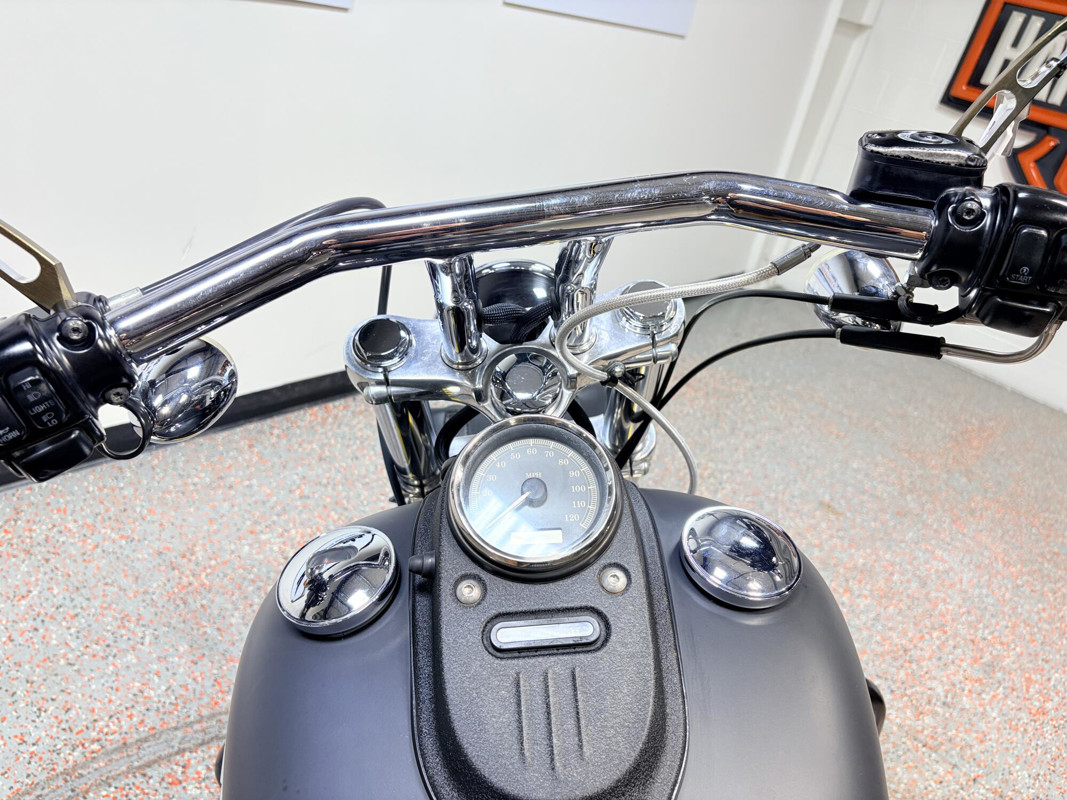 Dyna® Street Bob®