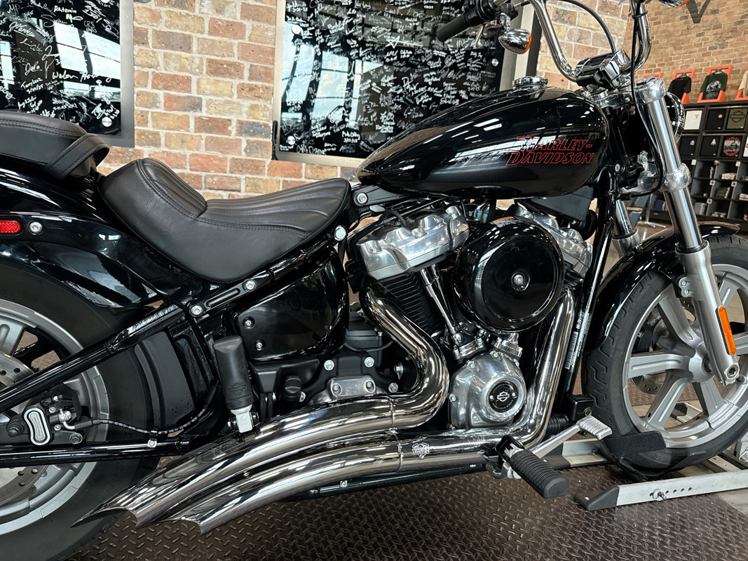 Softail® Standard