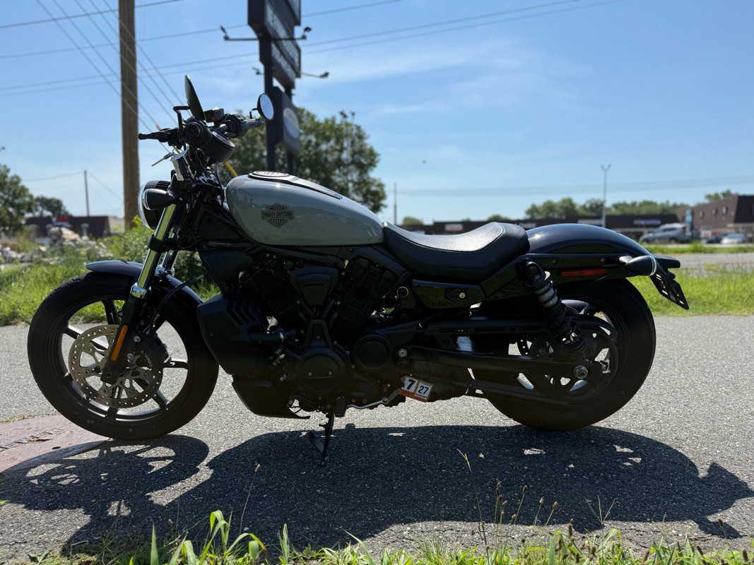 Nightster