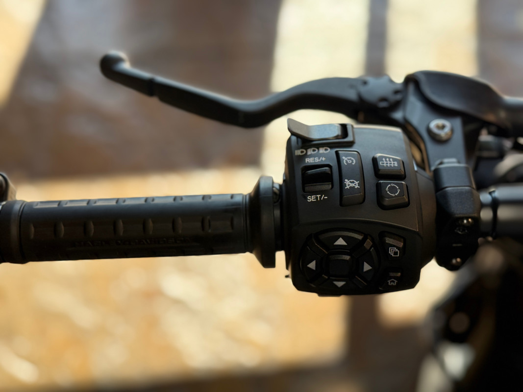 Sportster® S