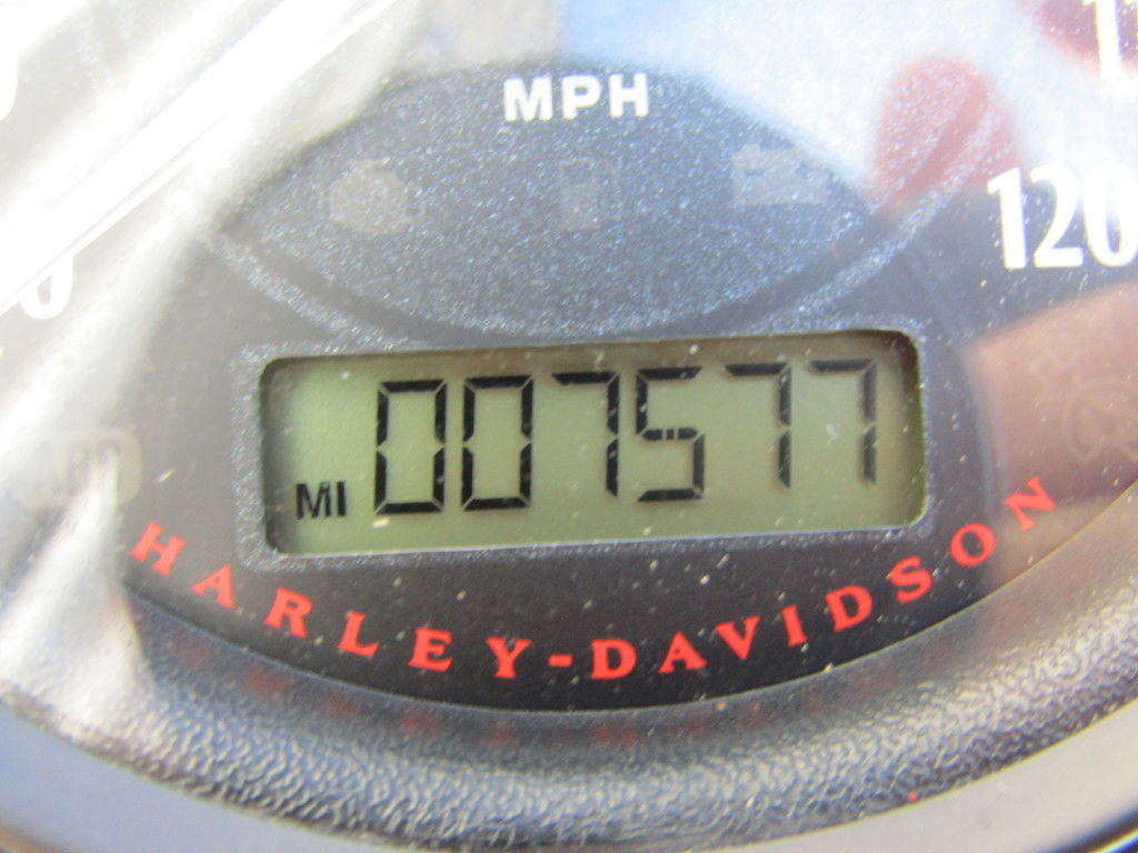 Sportster® Forty-Eight®