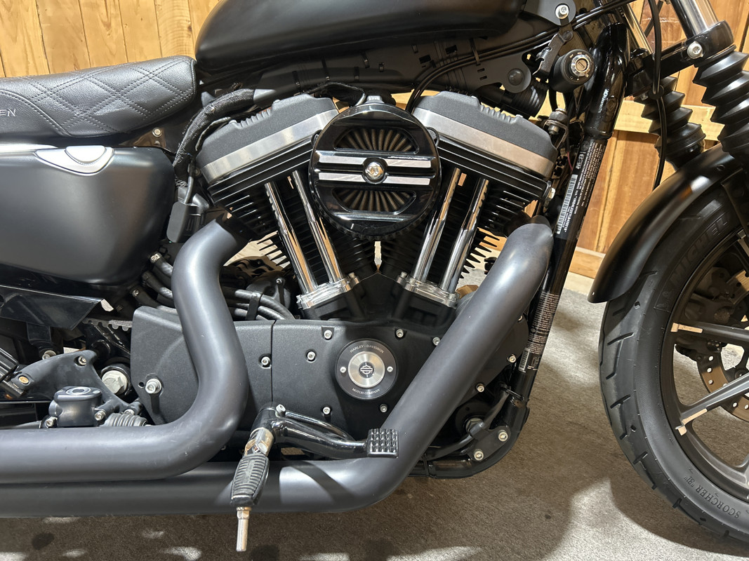 Iron 883®