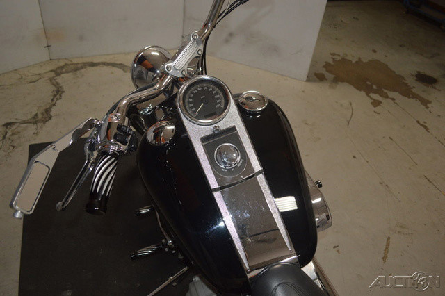 Softail® Standard