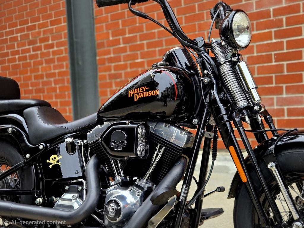 Softail® Cross Bones®