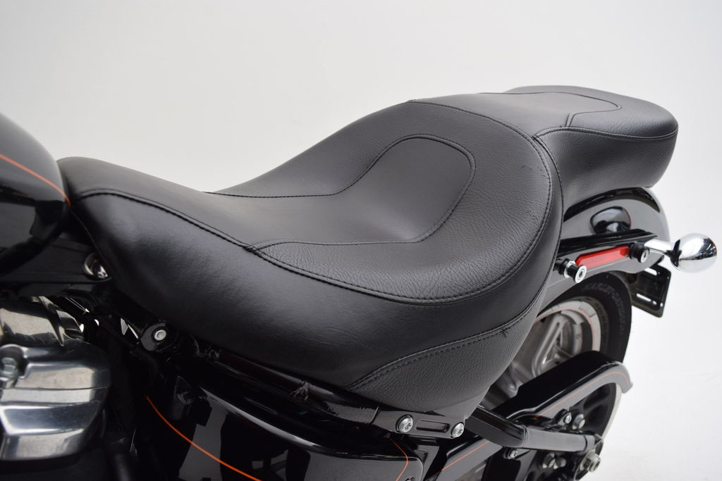 Softail® Standard