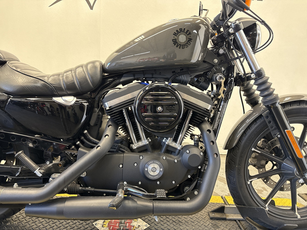 Sportster® Iron 883®