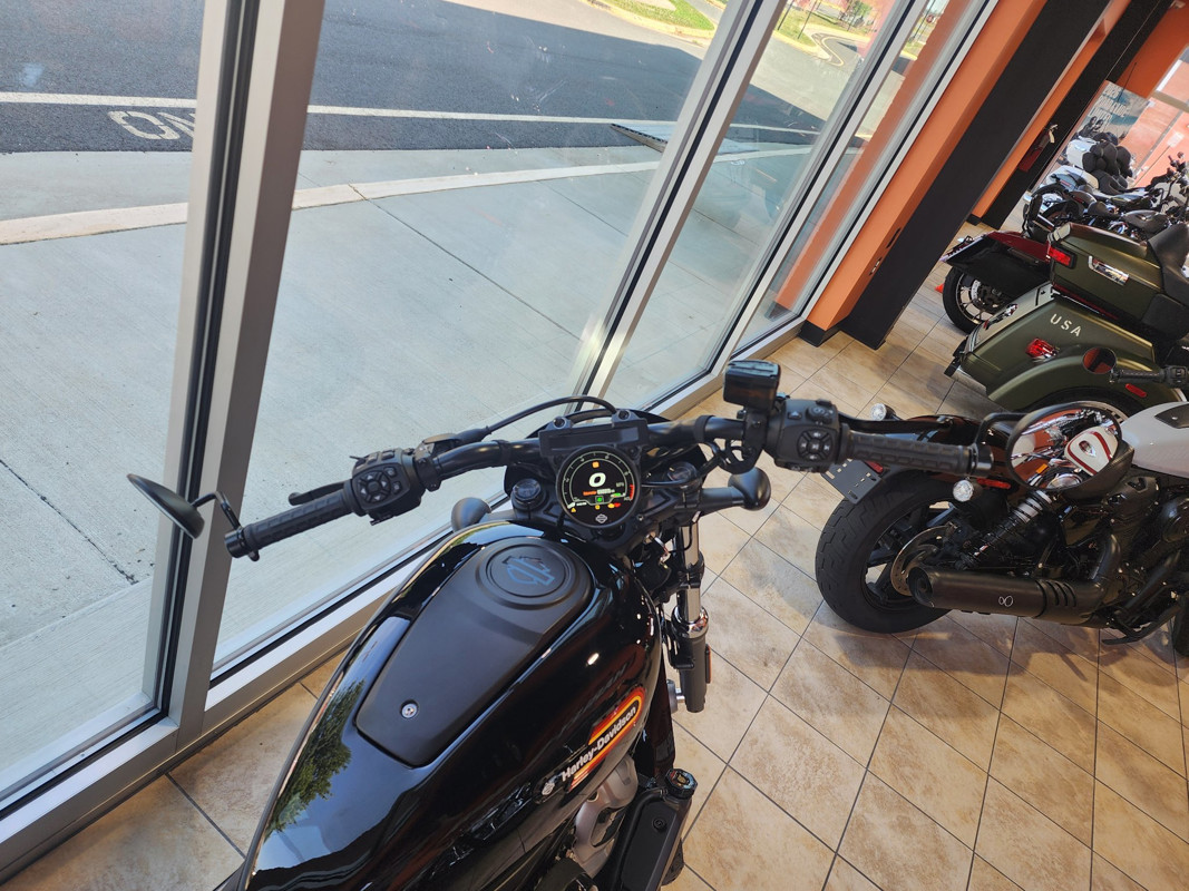 Nightster Special