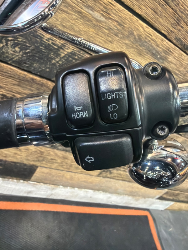 Sportster® 1200 Custom - H-D1 Factory Custom