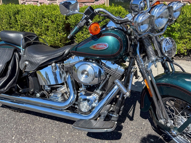 Softail® Springer® 