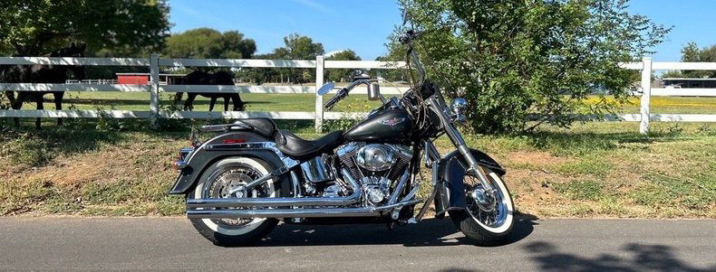 Softail® Deluxe