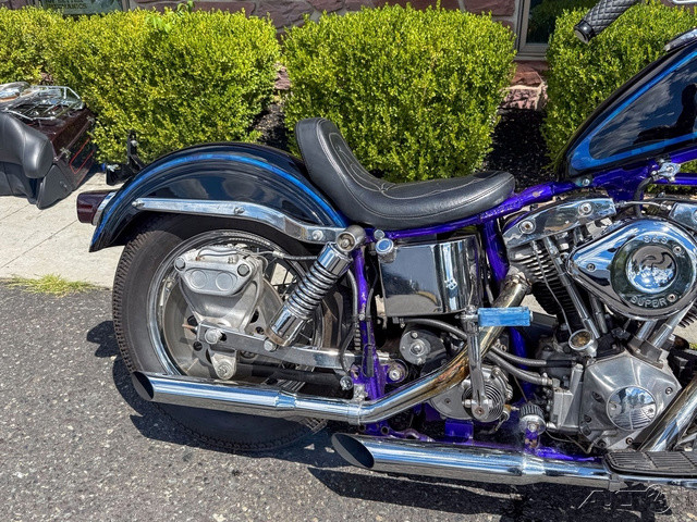 Electra Glide® Police