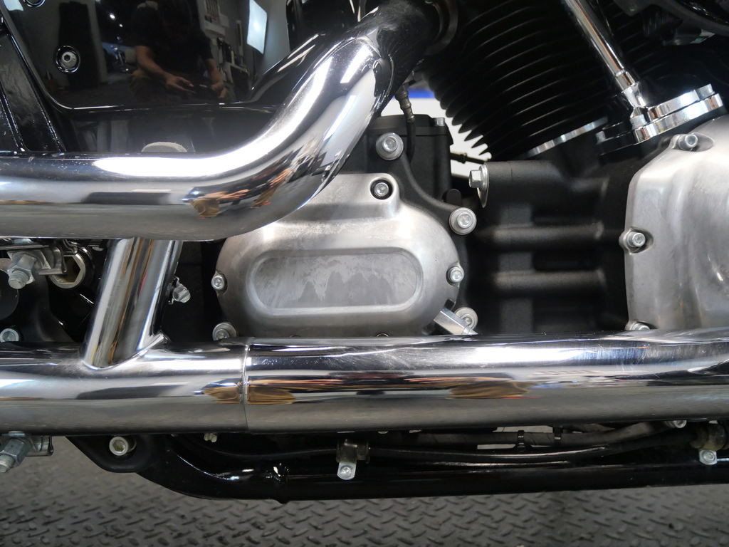 Softail® Standard