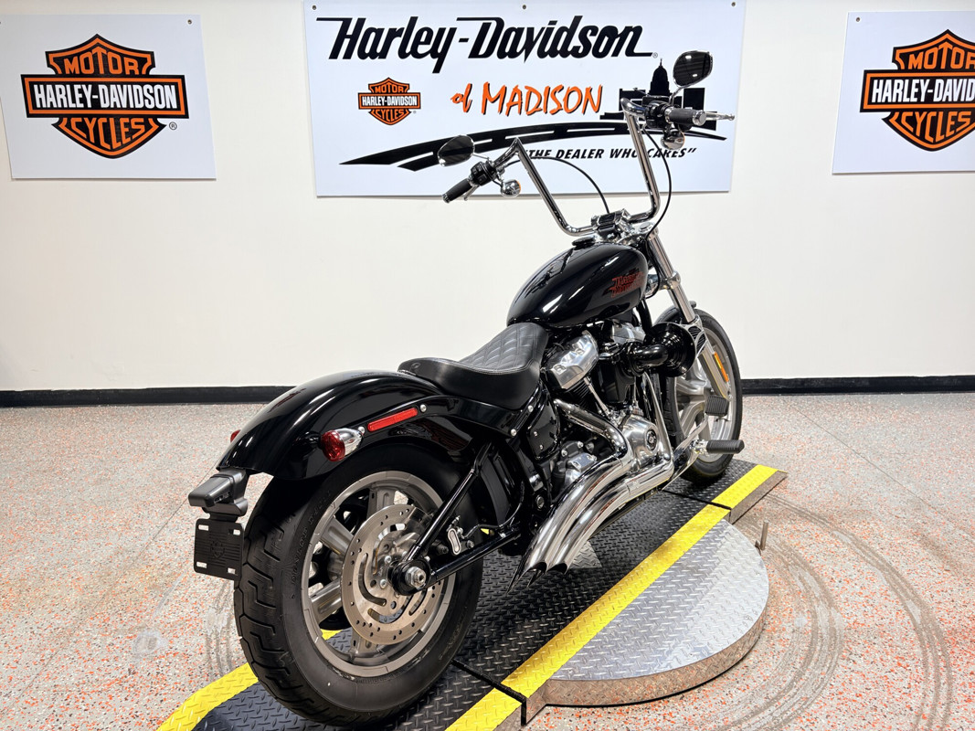 Softail® Standard