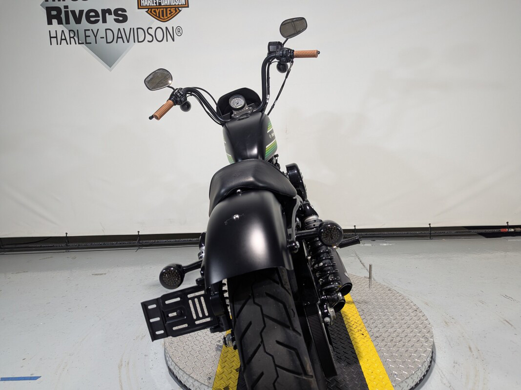 Iron 1200®