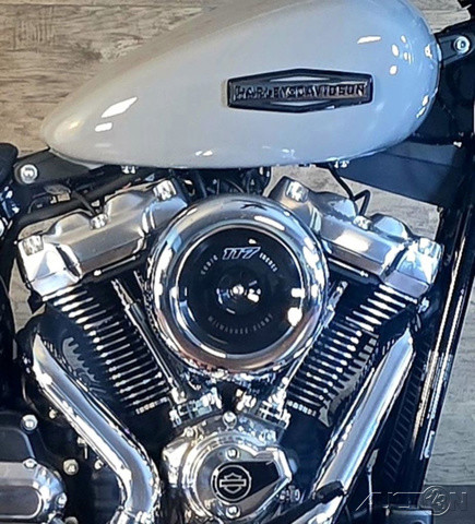 Street Bob®