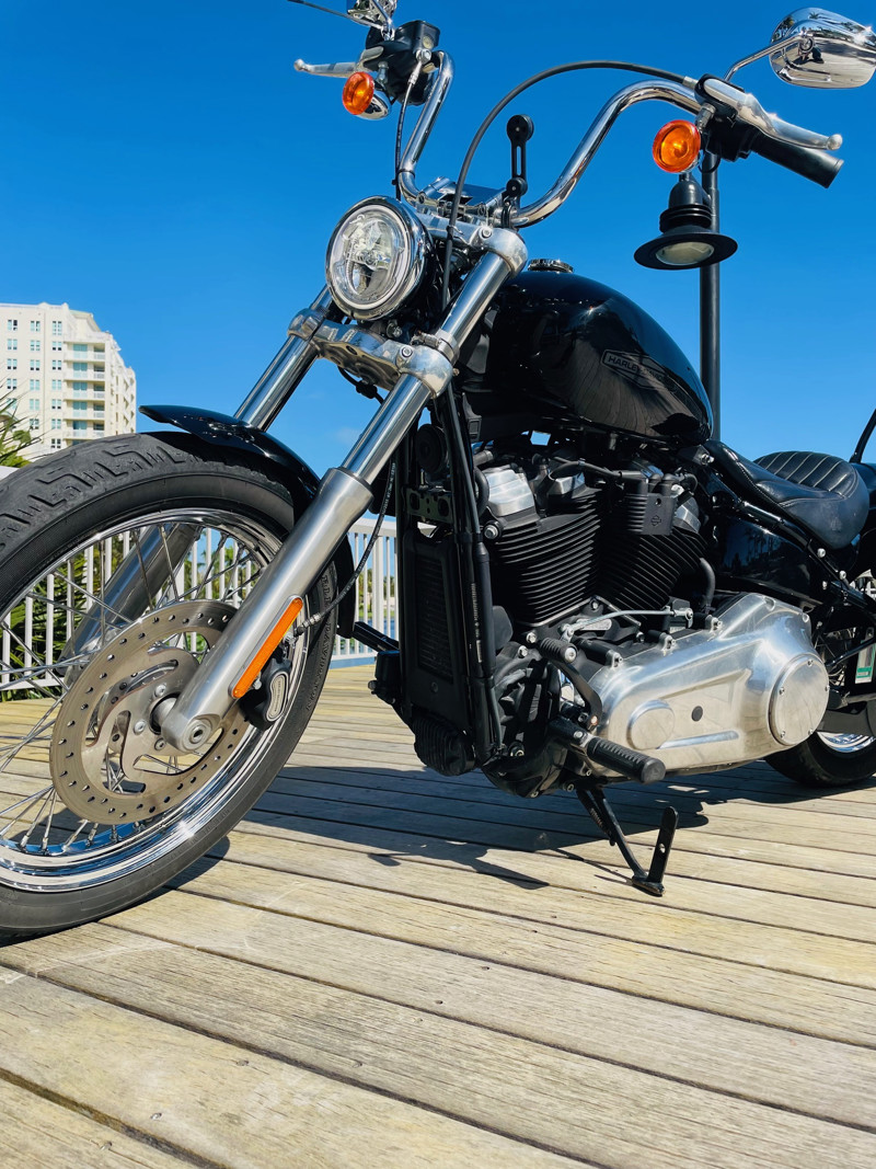 Softail® Standard