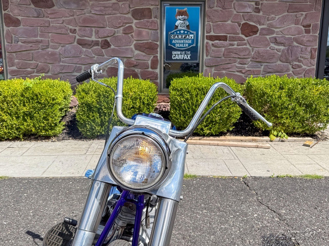 Electra Glide® Police