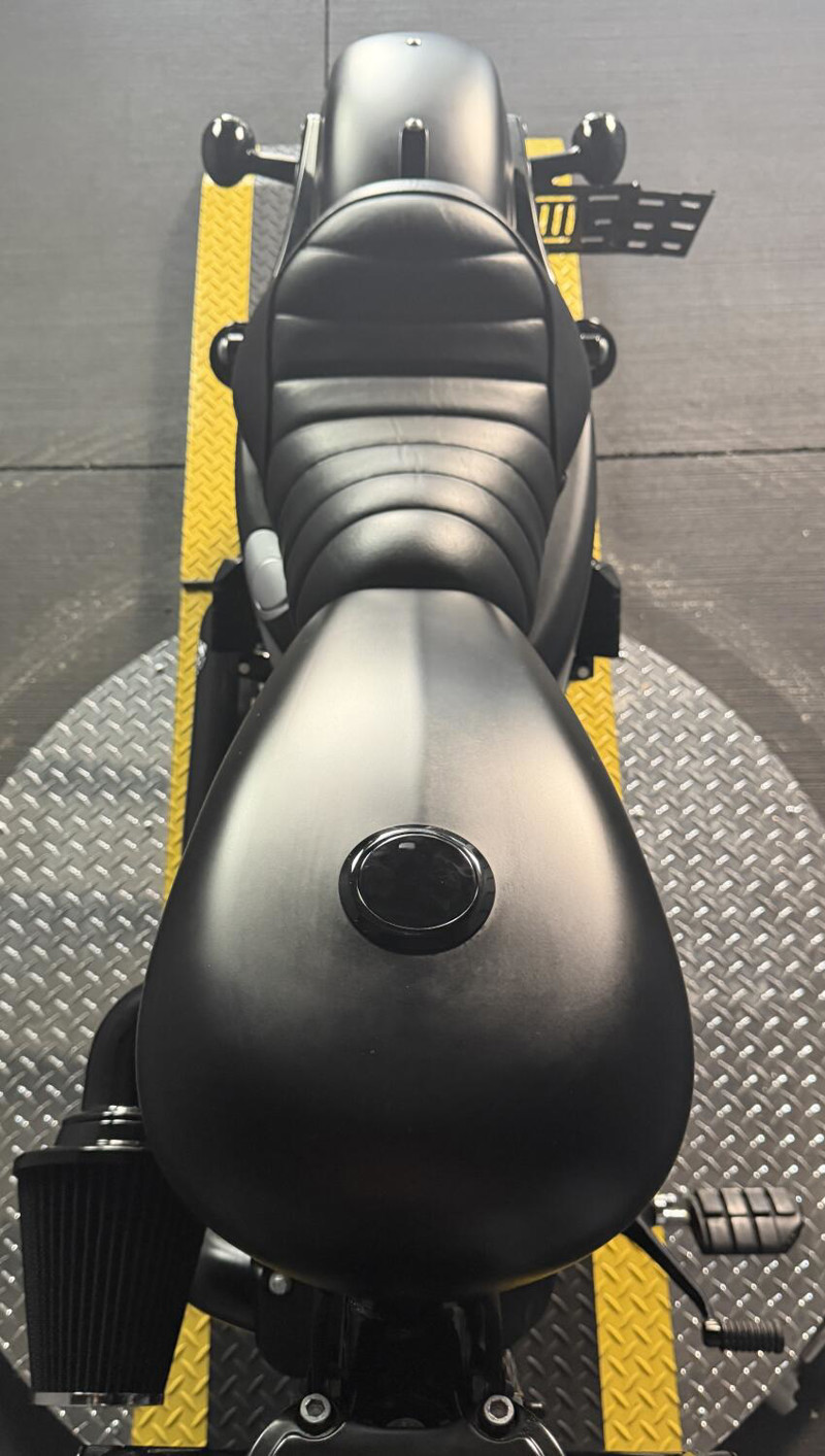 Iron 883®