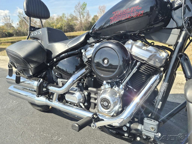 Softail® Standard
