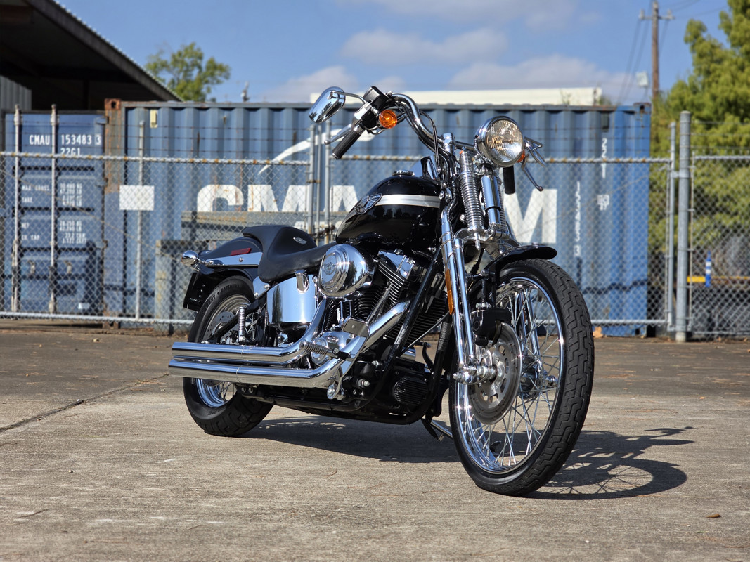 Springer® Softail® Anniversary