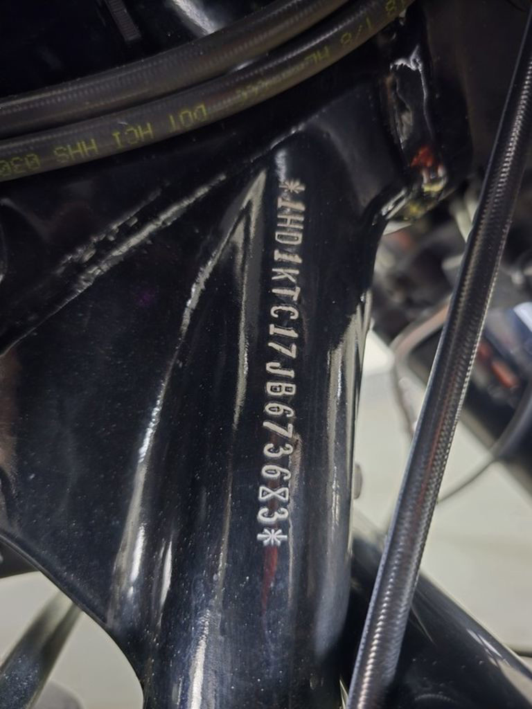 Road Glide® Special