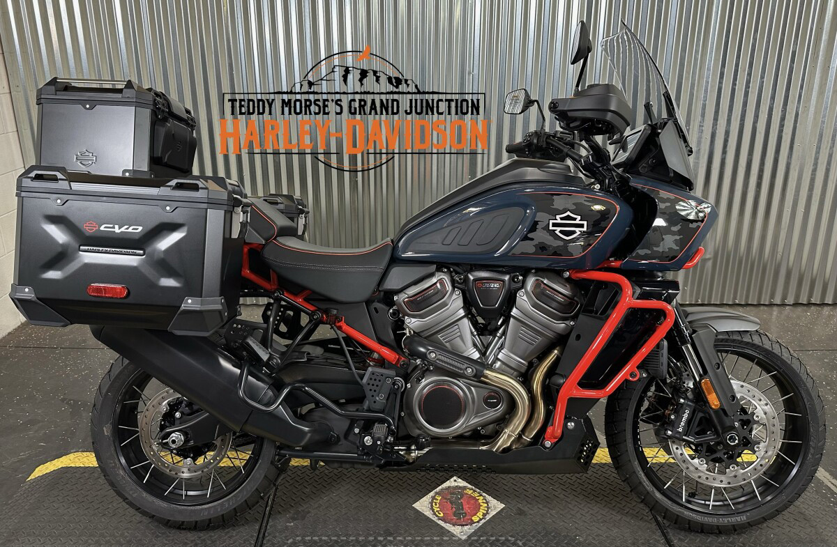 CVO® Pan America®