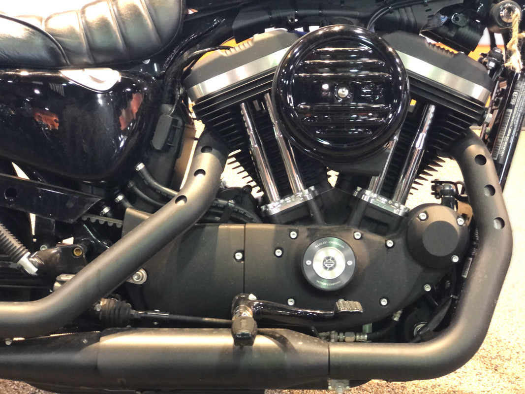Sportster® Iron 883®