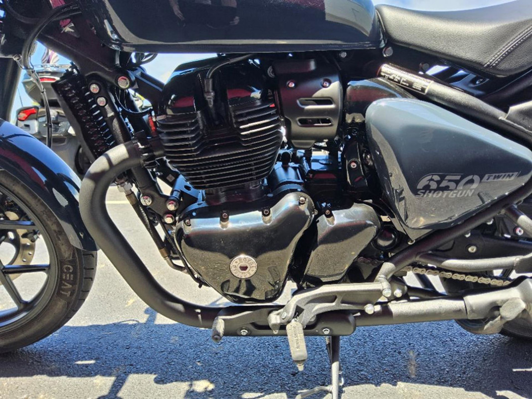 Shotgun 650