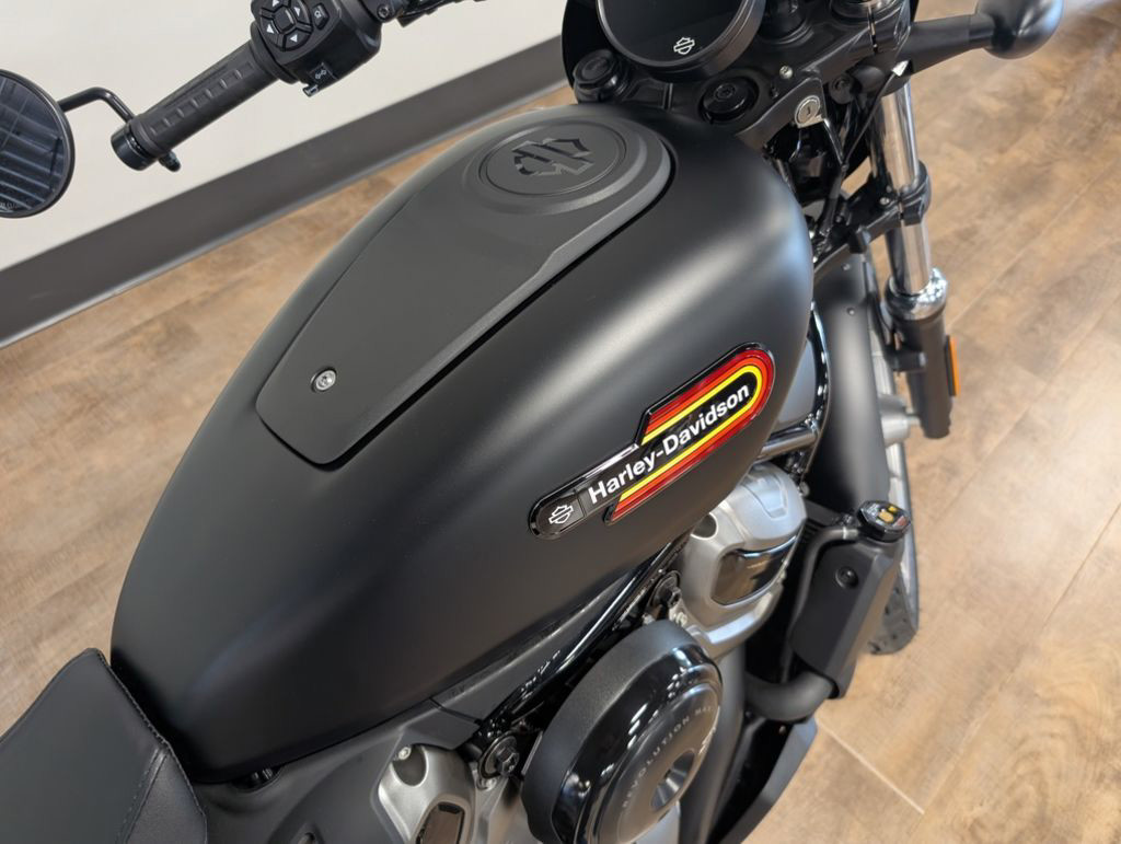 Nightster Special