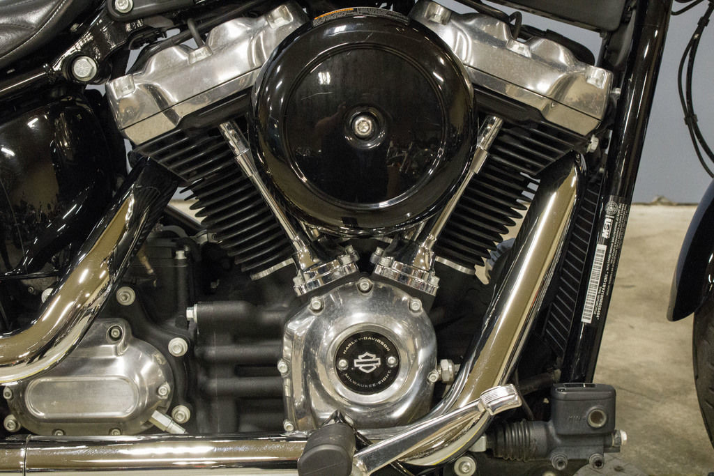 Softail® Standard