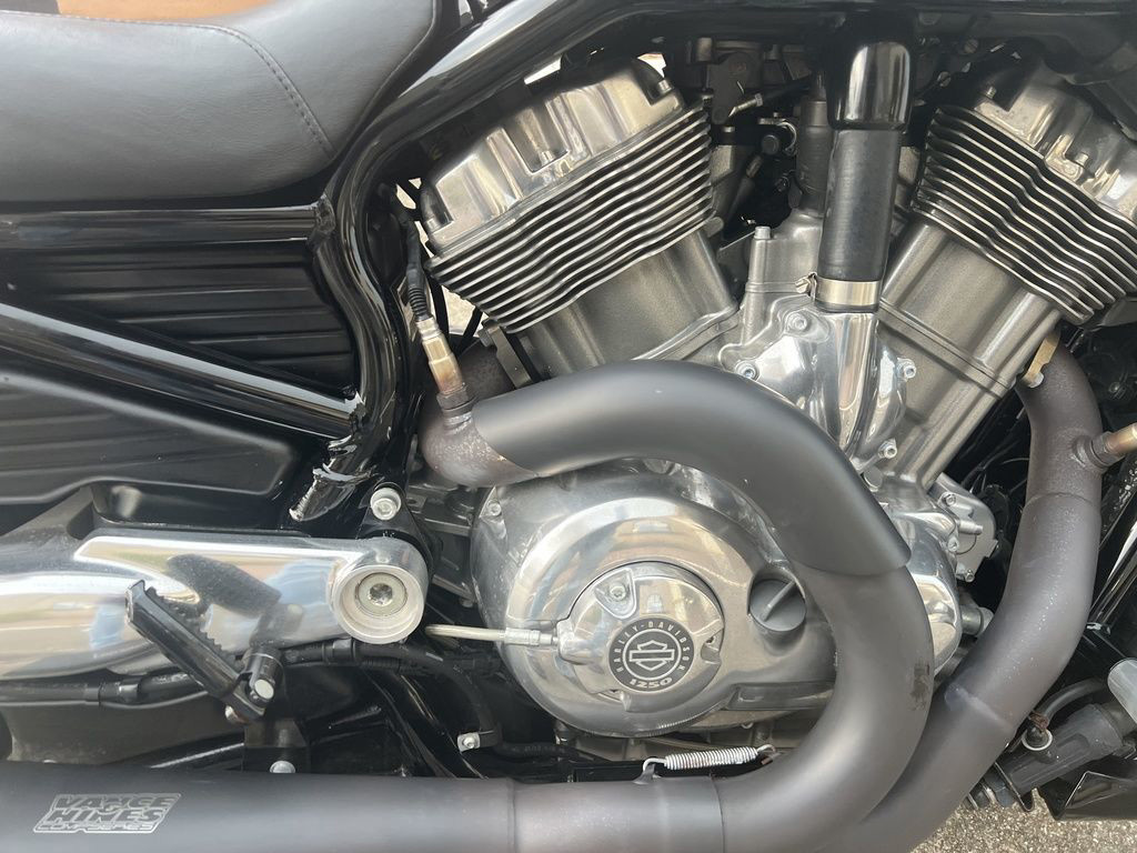 V-Rod® Muscle